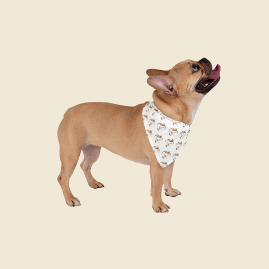 Lucky Bean Run Club Pet Bandana