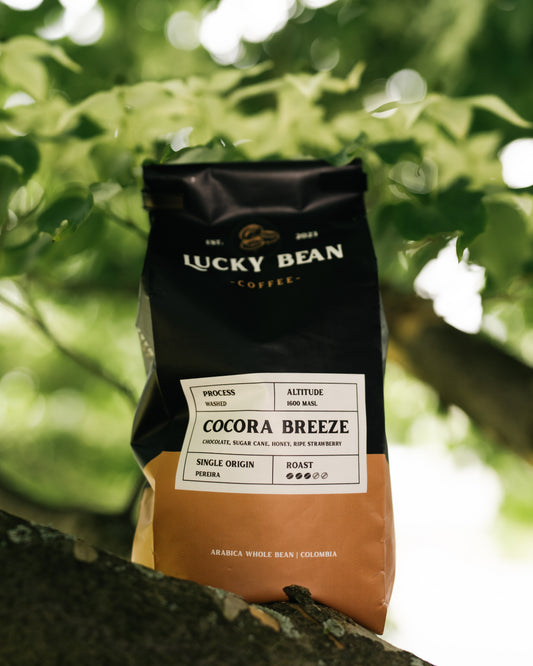 Cocora Breeze